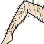 电商腿毛哥